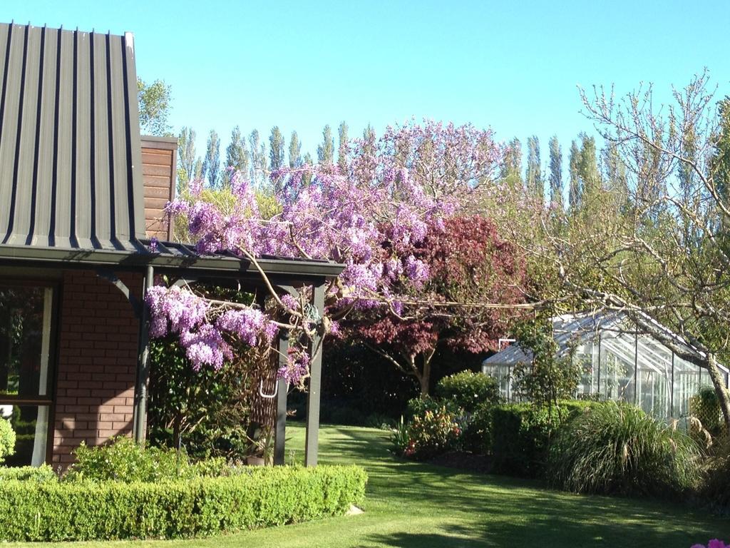 Rhododendron Garden Hotell Christchurch Rom bilde