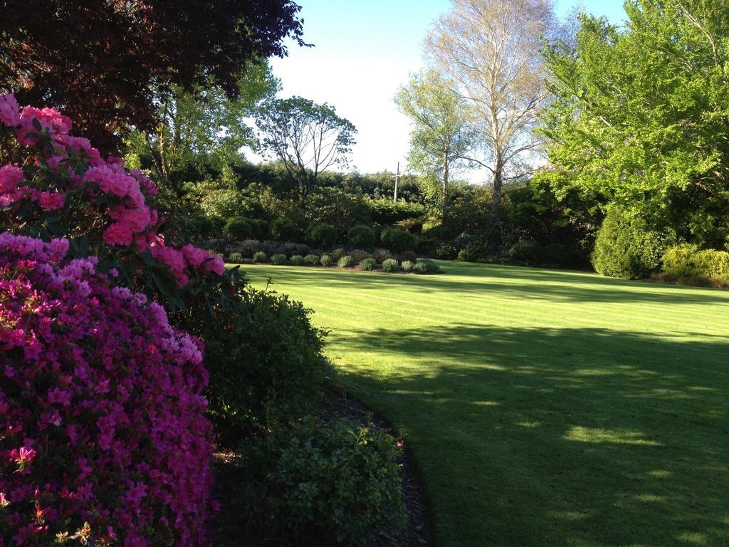 Rhododendron Garden Hotell Christchurch Rom bilde
