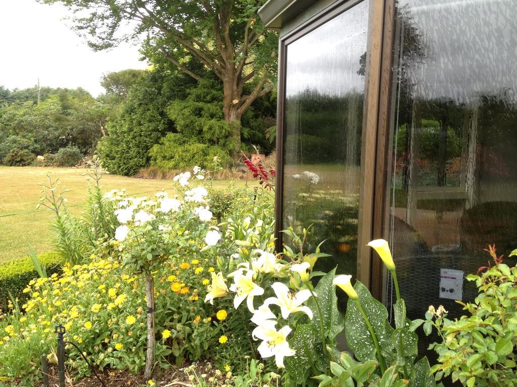 Rhododendron Garden Hotell Christchurch Rom bilde