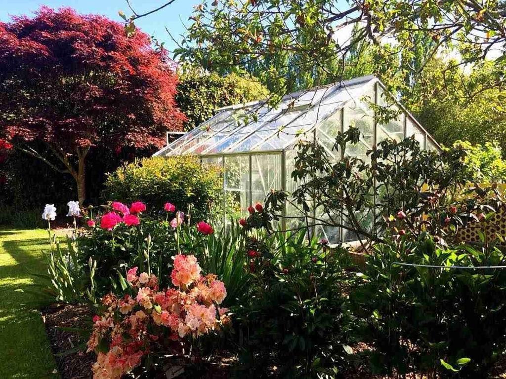 Rhododendron Garden Hotell Christchurch Rom bilde