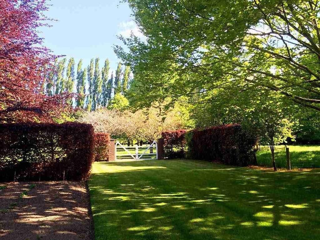 Rhododendron Garden Hotell Christchurch Rom bilde